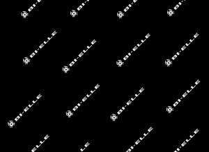 pezzo 1103 bi.elle attrezzo veicoli industriale