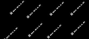 set pastorino 83k cuscinetti cambio