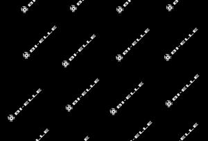 set pastorino 83k cuscinetti cambio