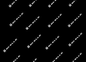 attrezzatura per cambio zf cassetta fasano