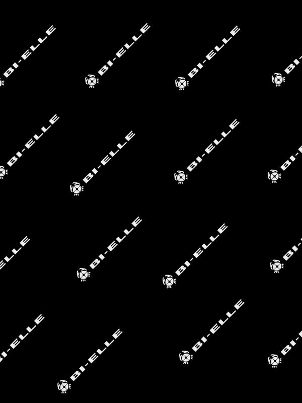 contenitore attrezzature officine Bergamo