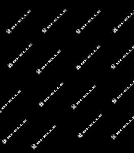 1349/2 - ESTRATTORE INIETTORI DAILY