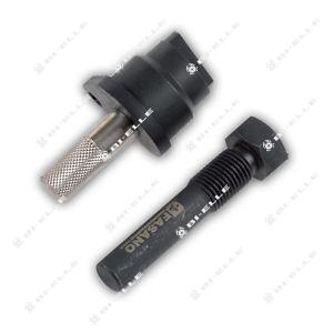 chiodi e cuscinetti cambio