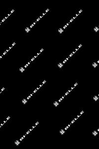 carrellino per attrezzi veicoli industriali